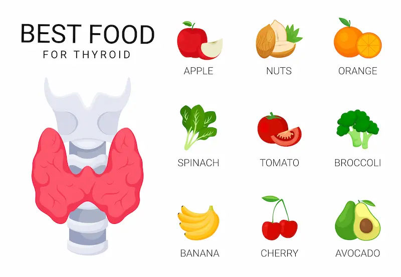 Best Foods to Support Thyroid Health Naturally